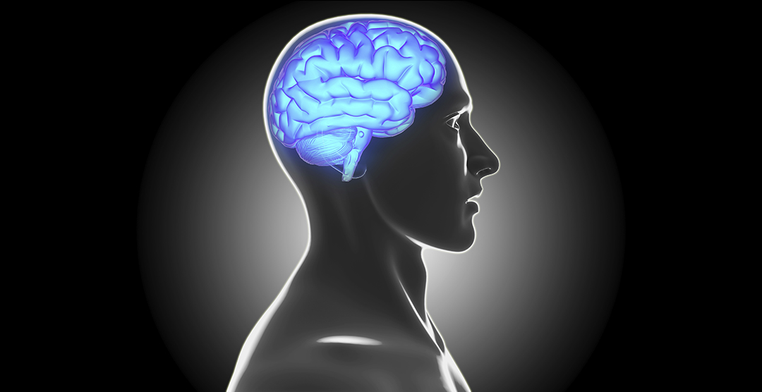 Brain Fitness Tips–How to improve your memory