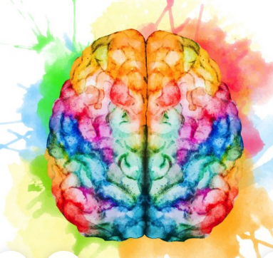 brain in color