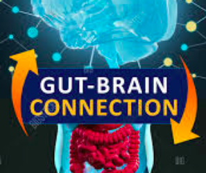 How Your Gut Can Make You Happy and Healthy! Interviews Galore!