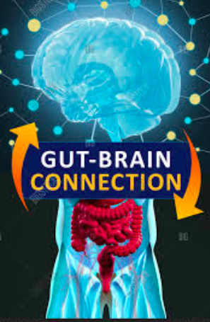 How Your Gut Can Make You Happy and Healthy! Interviews Galore!